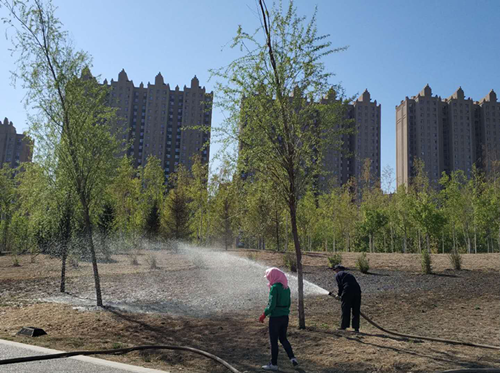 Z6��������ʱ���й������ٷ���վ