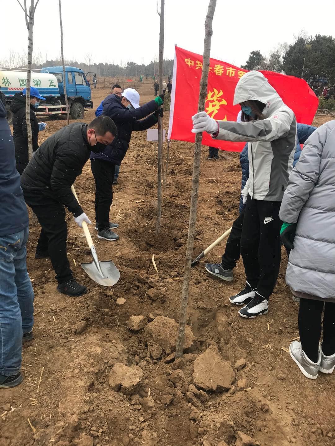 Z6��������ʱ���й������ٷ���վ