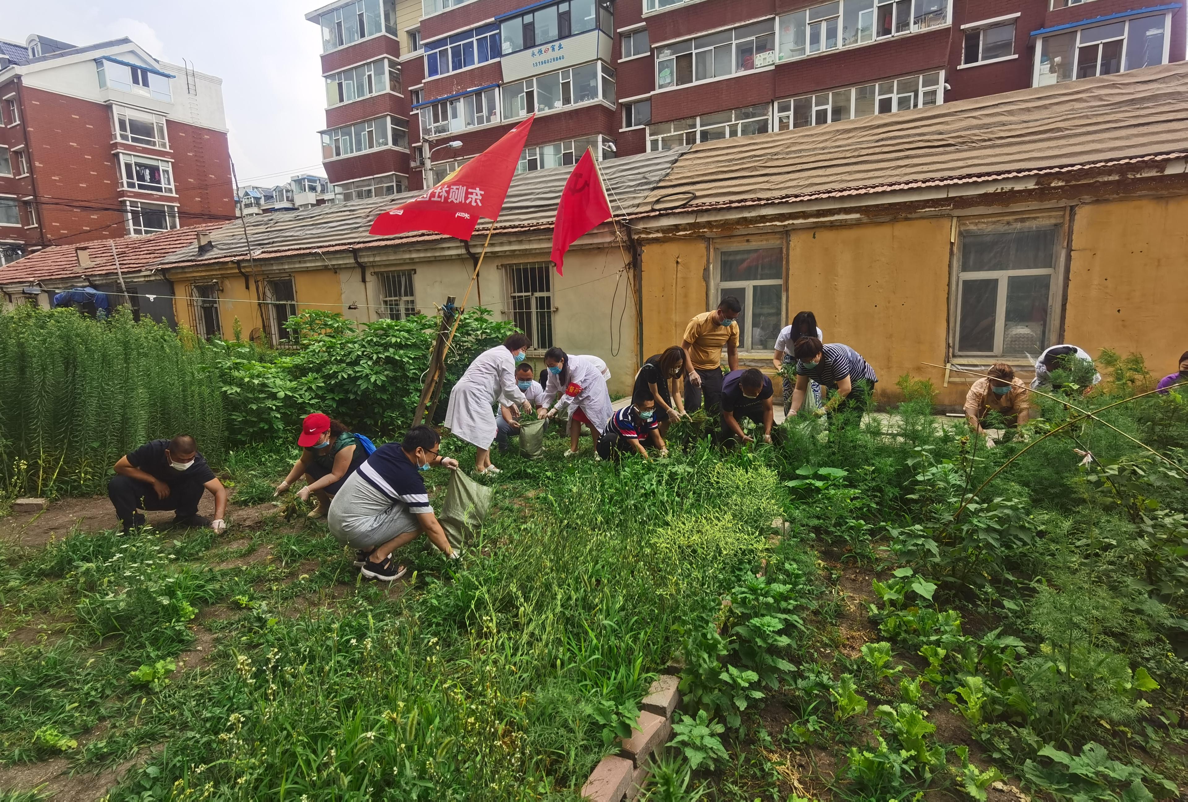 Z6��������ʱ���й������ٷ���վ