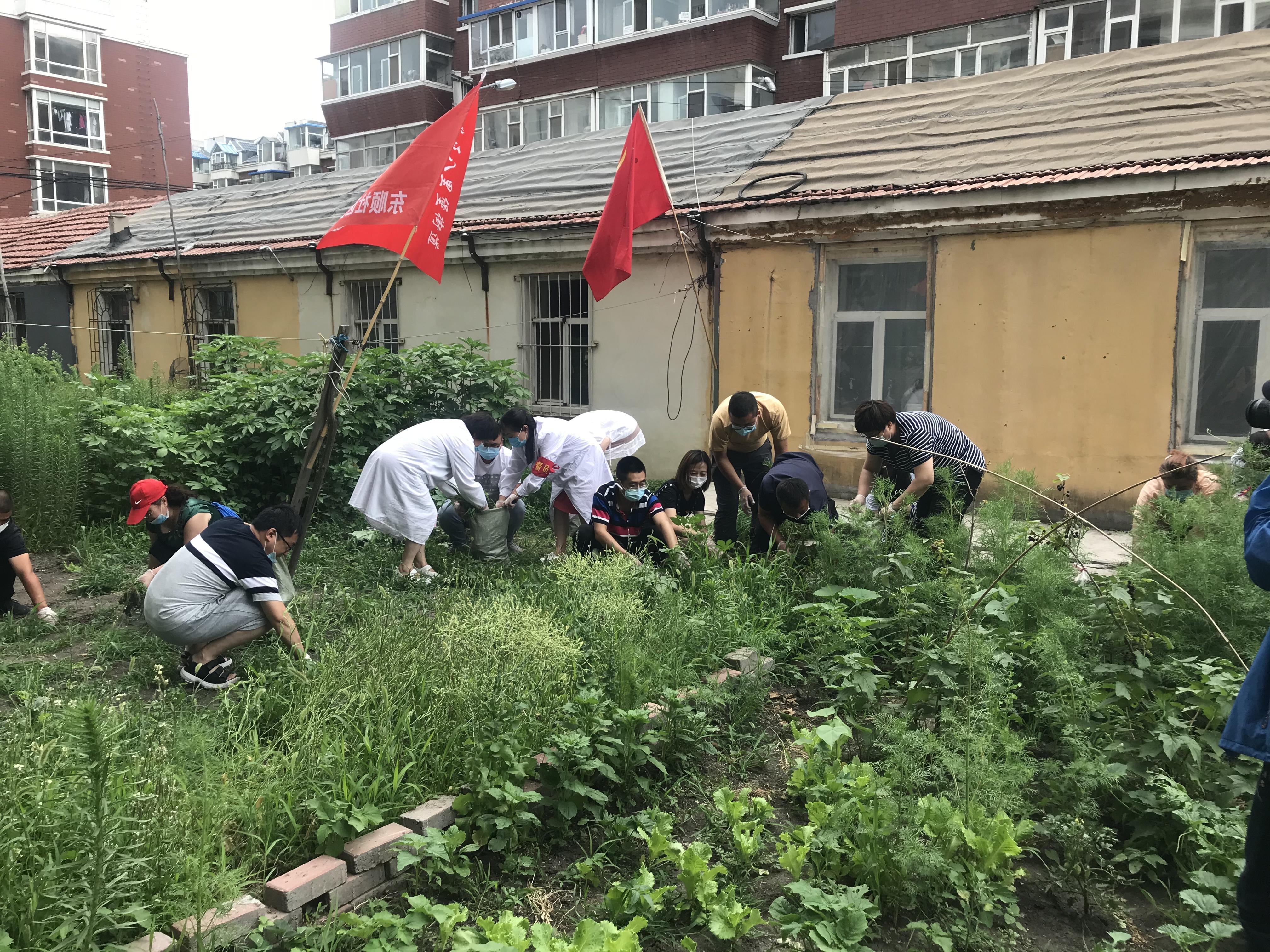 Z6��������ʱ���й������ٷ���վ