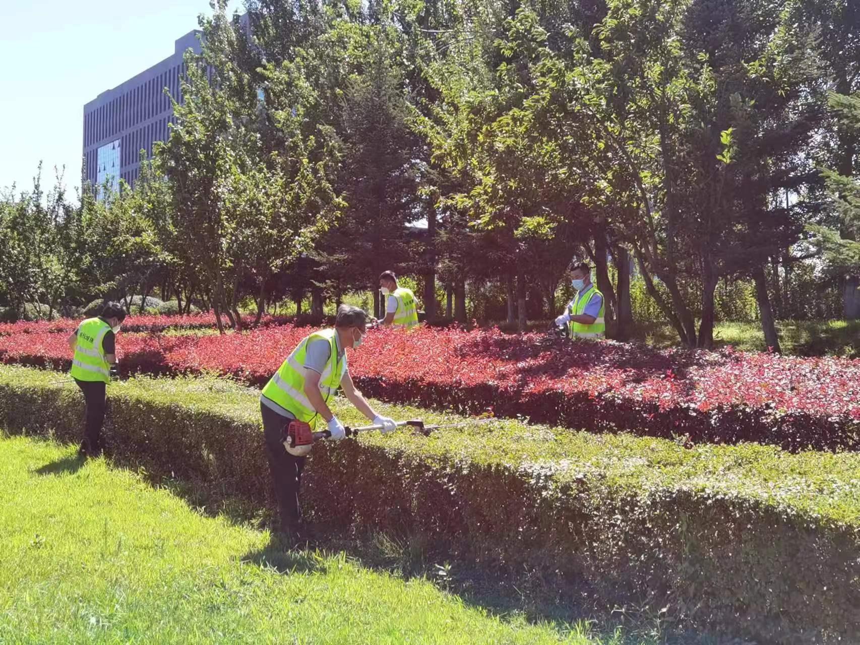 Z6��������ʱ���й������ٷ���վ