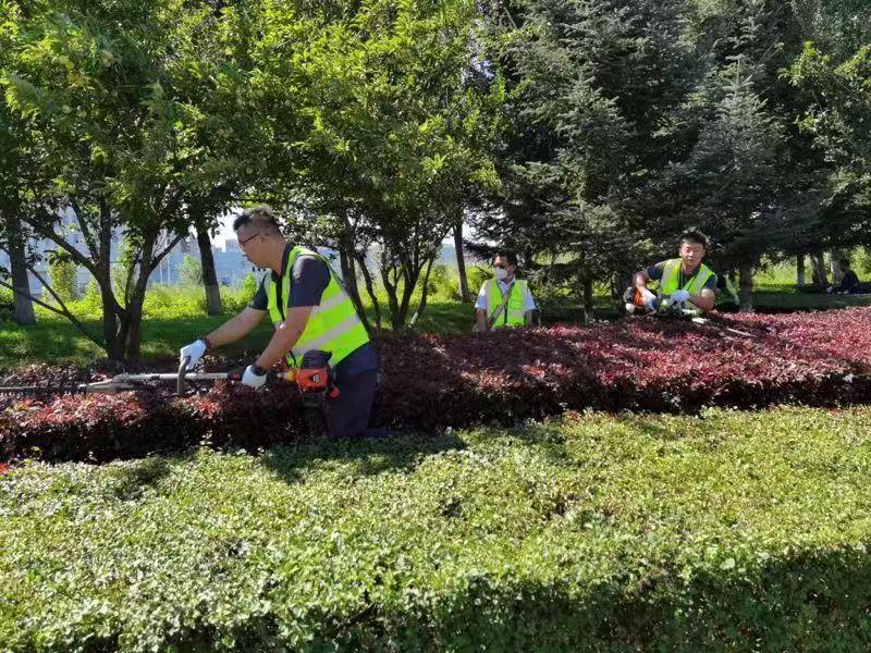 Z6��������ʱ���й������ٷ���վ