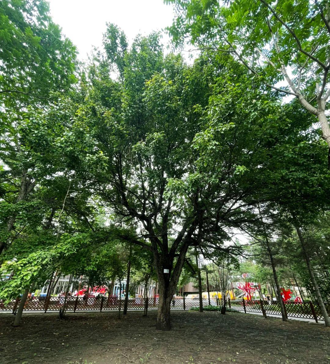 Z6��������ʱ���й������ٷ���վ