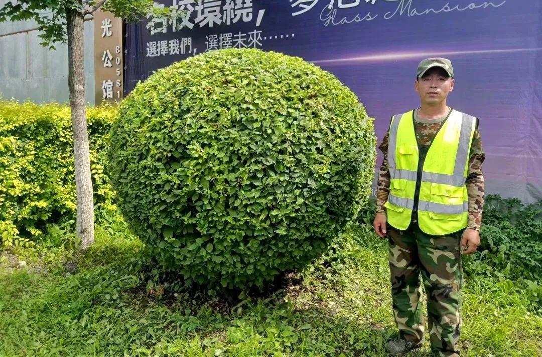 Z6��������ʱ���й������ٷ���վ