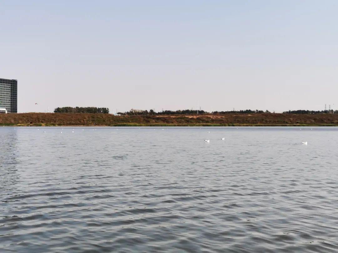 Z6��������ʱ���й������ٷ���վ